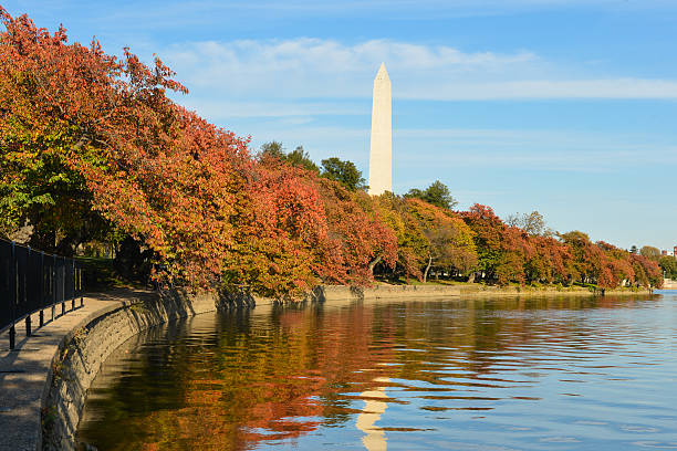 istock Washington DC in Autumn - Washington Monument 525296145