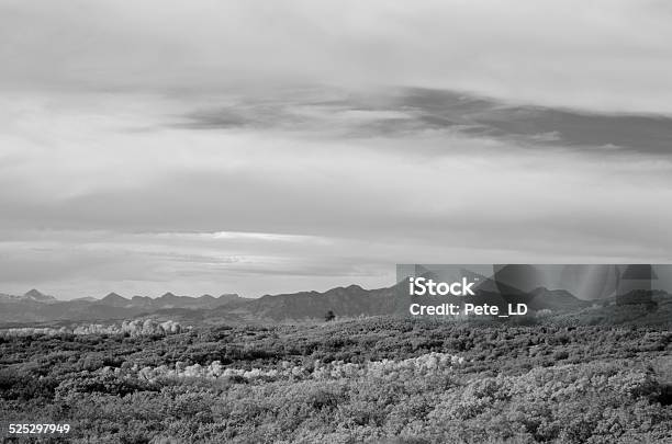 Black And White Autumn Landscape Mountain Colorado Stock Photo - Download Image Now - Autumn, Beauty, Black And White