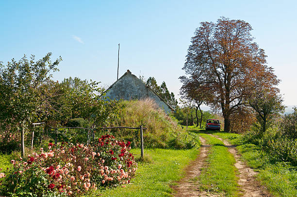 istock Autumn farm detail 525298403