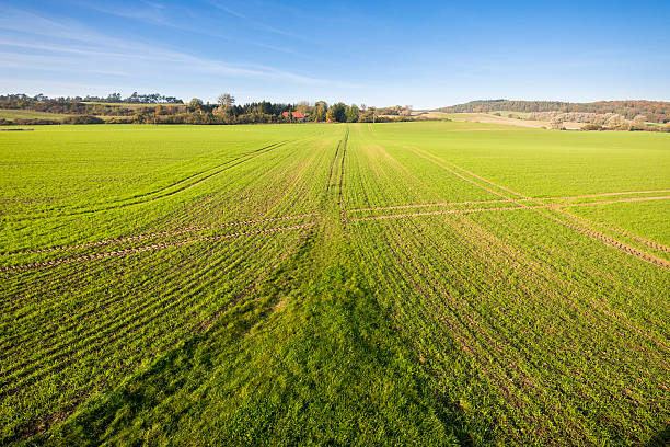 istock grass field and blue sky in autumn 525298787
