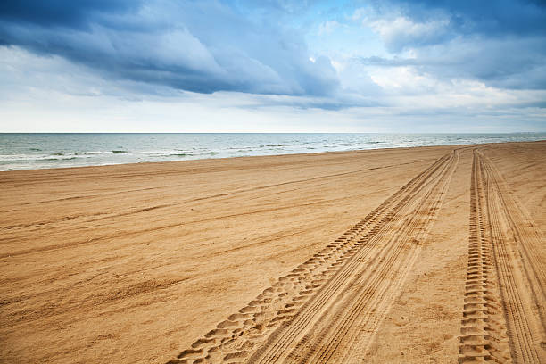 Photo of Perspective of tyre tracks on sandy beach