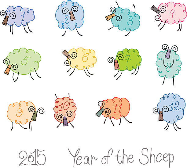 illustrations, cliparts, dessins animés et icônes de douze mouton. - 12 17 mois