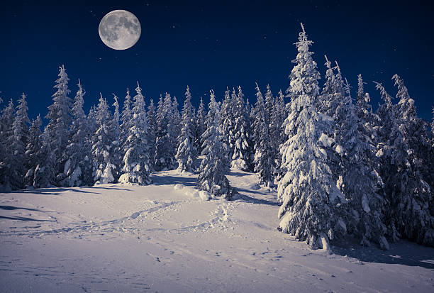 istock Beautiful winter landscape in the mountains at night 525316461