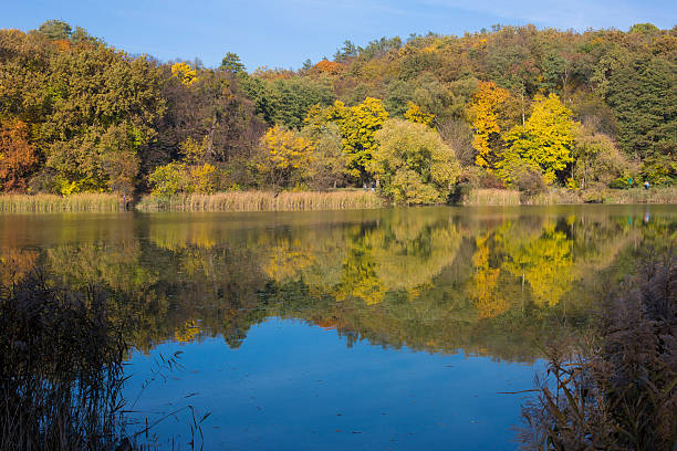 istock autumn forest in the reflection of water 525318135