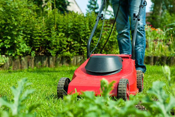 istock Man is mowing the lawn in summer 525318151