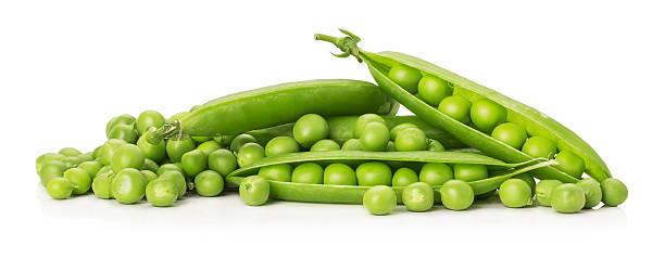 istock green peas isolated on the white background 525318527