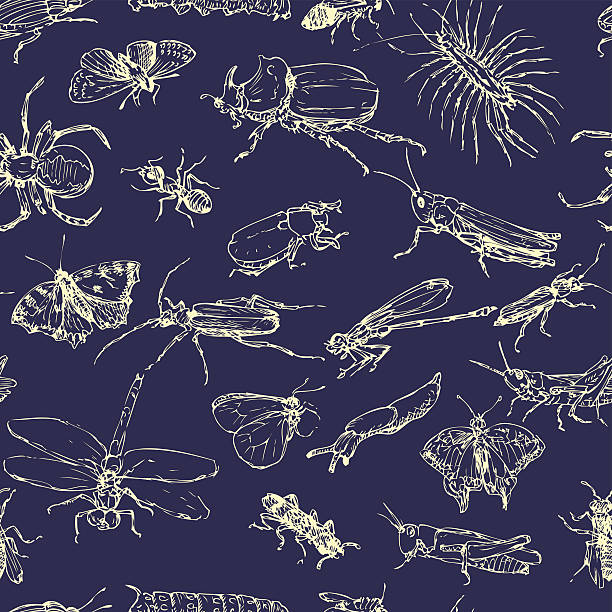 seamless pattern with line drawing insects vector seamless pattern with line drawing insects, hand drawn vector illustration poisonous grasshopper pictures stock illustrations