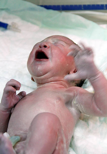 istock Newborn In Hospital 525320349