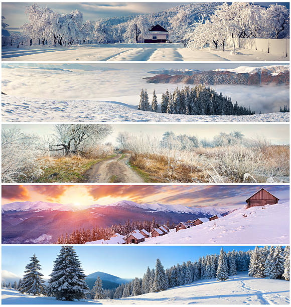 istock Winter collage with 5 different Christmas landscape for banners. 525320447