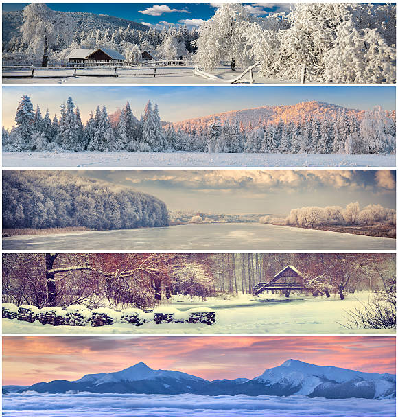 istock Winter collage with 5 different Christmas landscape for banners. 525320495