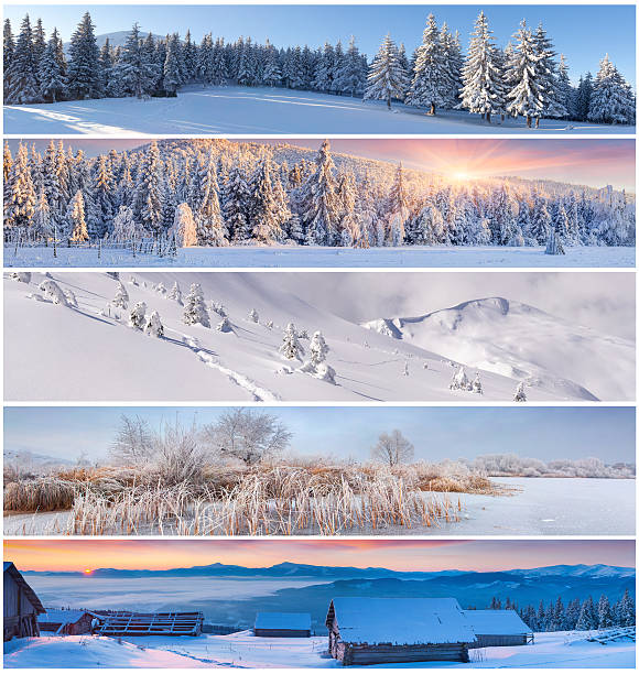 istock Winter collage with 5 different Christmas landscape for banners. 525322281