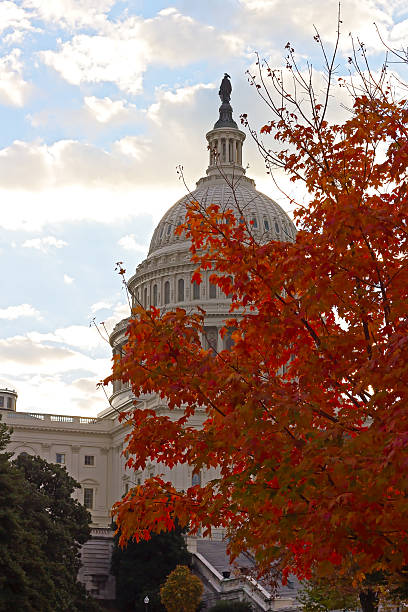 istock US Capitol building at dawn in autumn colors. 525322667
