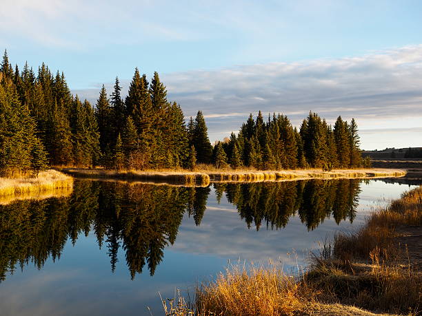 istock Schwabachers Landing Morning Reflections 525322759
