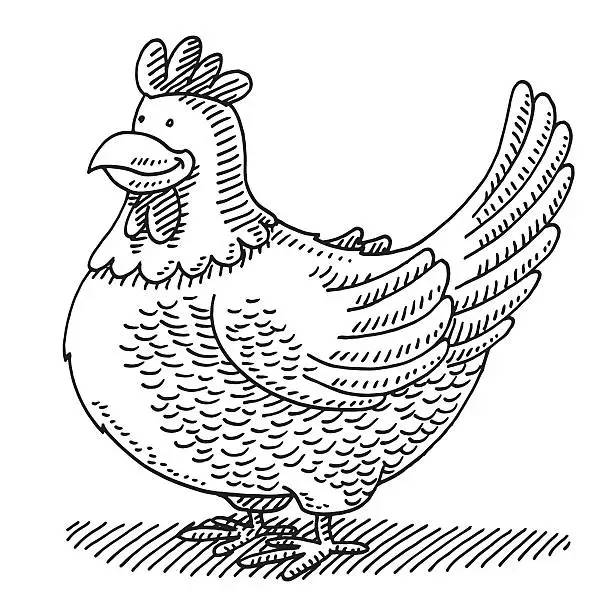 Vector illustration of Cartoon Cute Chicken Drawing