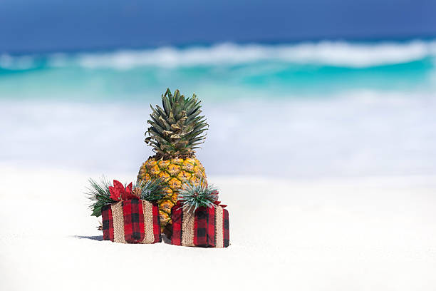 istock Tropical holiday card, party for vegans 525329227