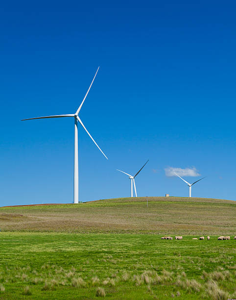 windturbinen - landscape alternative energy scenics farm stock-fotos und bilder