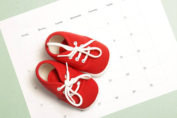 Baby Shoes stock photo