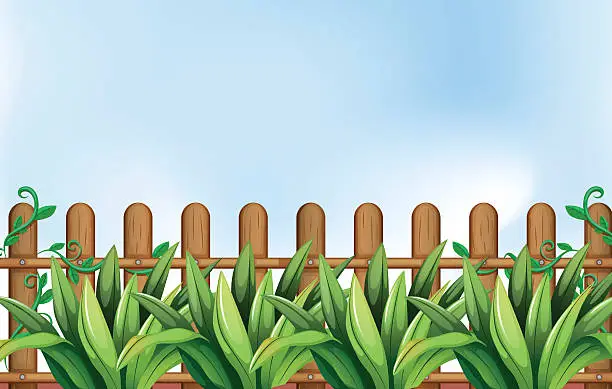 Vector illustration of Yard with plants