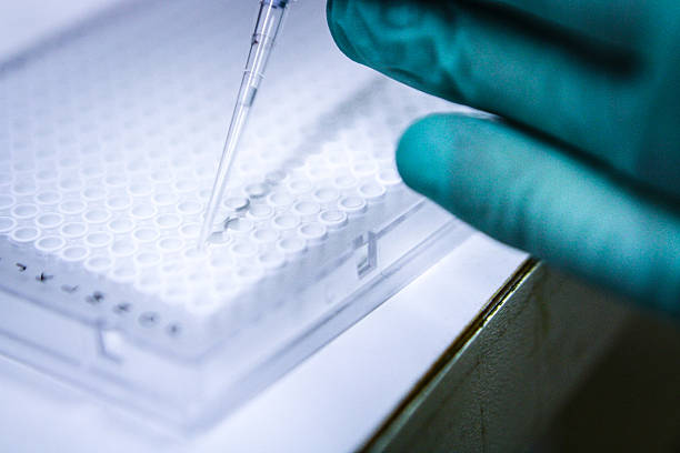 istock Pipette Injecting into 384 Well Plate for Genetic Scientific Research 525333095