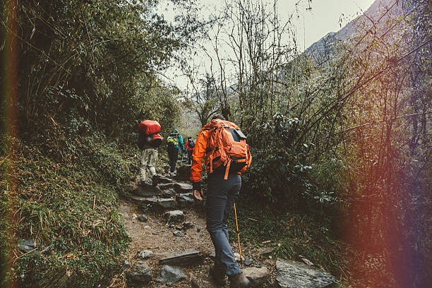 Mountaing trekkers Retro style photo of group of mountain trekkers on Himalayan forest. annapurna conservation area photos stock pictures, royalty-free photos & images
