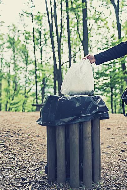 istock Hand of woman throwing garbage into bin in woods 525337264