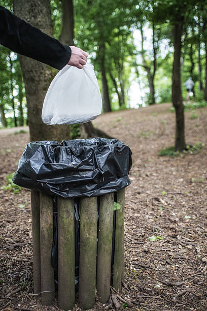 istock Hand of woman throwing garbage into bin in woods 525337528