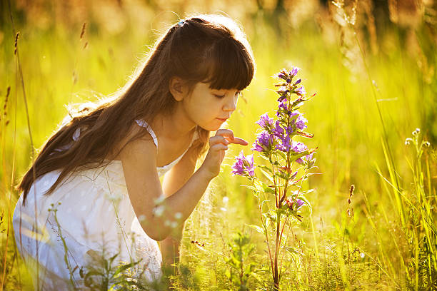 istock Girl touches to a wild flower 525338429