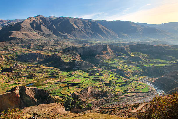 Stepped terraces in Colca Canyon in Peru stock photo