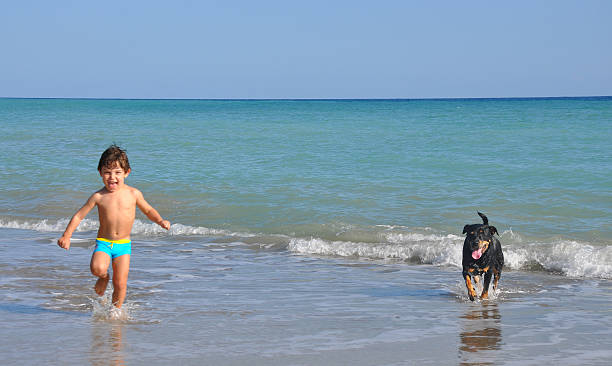 Playtime My son 3 and a half years old Cinar and our dog (8 years old female Rottweiler Mia) is sharing a playfull time on our latest trip to Kas - Antalya... rottweiler 3 years old stock pictures, royalty-free photos & images