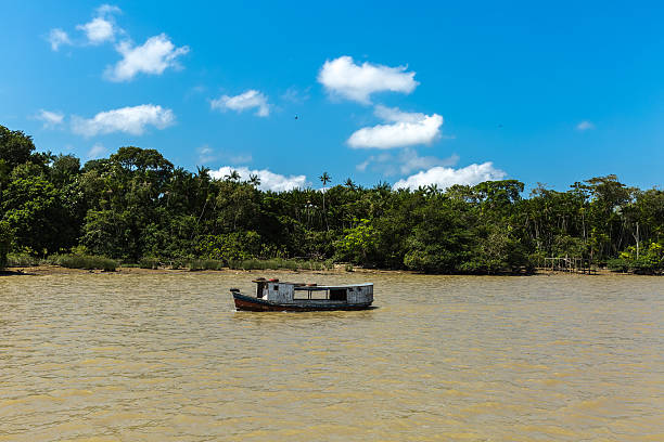 istock Marajo river in Belem do Para, Brazil 525341432
