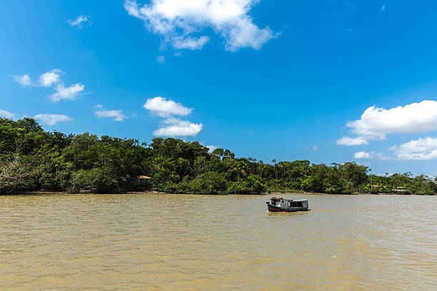 istock Marajo river in Belem do Para, Brazil 525341468