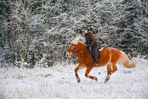 istock Woman riding in winter 525341476