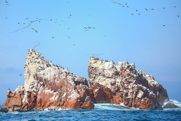 istock Rock formations in Ballestas Islands Reserve in Peru 525341848