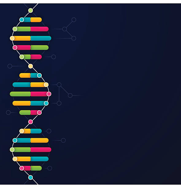 DNA Background DNA background with space for your copy. EPS 10 file. Transparency effects used on highlight elements. chromosome illustrations stock illustrations