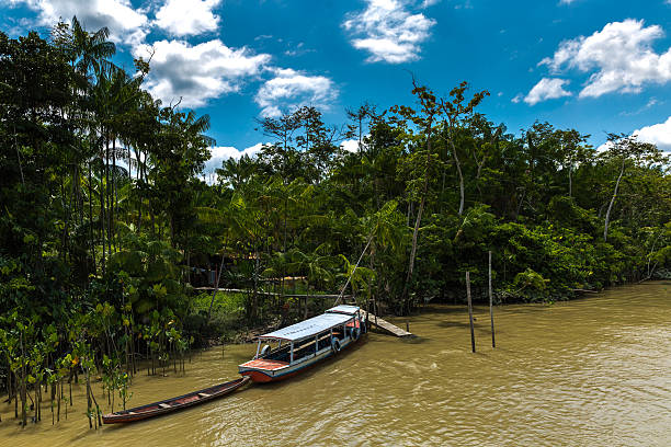 istock Marajo river in Belem do Para, Brazil 525343288
