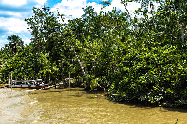 istock Marajo river in Belem do Para, Brazil 525343398
