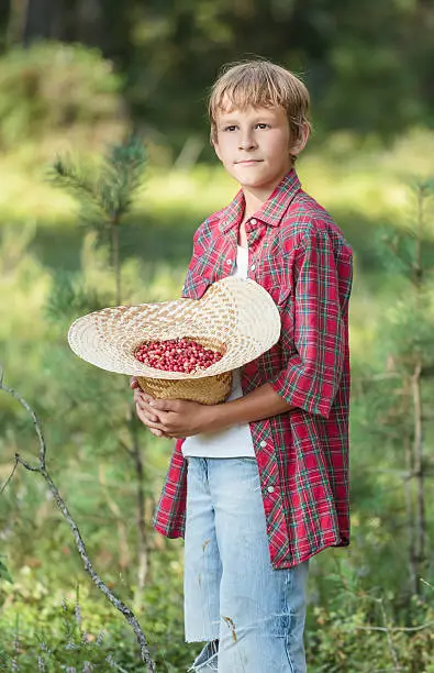 Portrait of standing teenage boy is holding straw hat full of crispy red berries at forest green trees, bushes and moss background. Boy is having a break during harvest process of ripe lingonberries or cowberries (Vaccinium vitis-idaea in Latin). Teenager is in red plaid shirt with short sleeves and blue ripped jeans. Vertical portrait image.