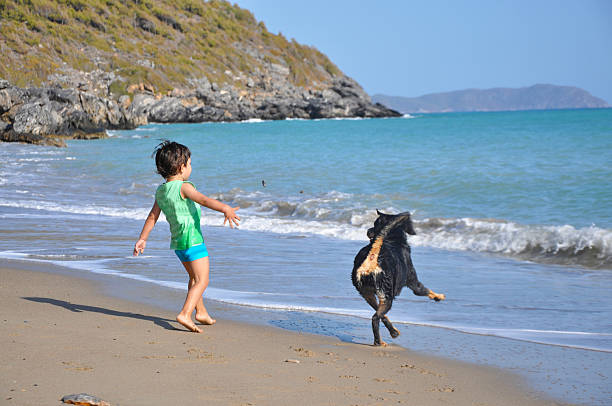 Playtime My son 3 and a half years old Cinar and our dog (8 years old female Rottweiler Mia) is sharing a playfull time on our latest trip to Kas - Antalya... rottweiler 3 years old stock pictures, royalty-free photos & images