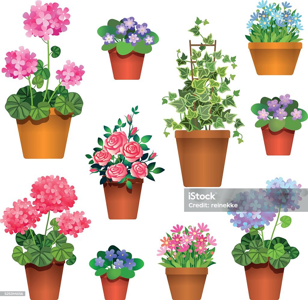 room flowers Set of  flowers in pots isolated on white. Icons for design illustration Potted Plant stock vector
