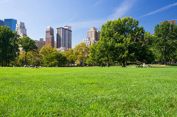 istock Green meadow in New York Central Park 525345619