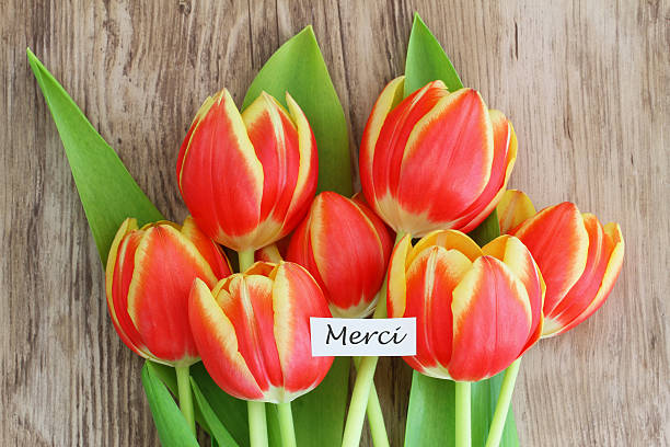 istock 