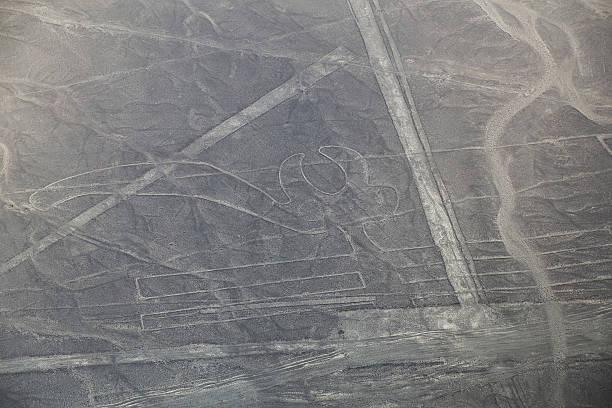 istock Aerial view of Nazca Lines - Parrot geoglyph, Peru. 525346714