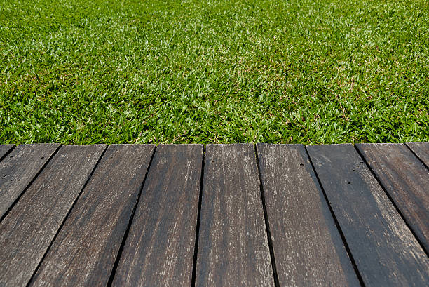 istock wooden terrace with   grass background 525347270