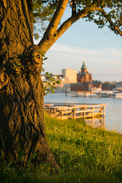 puesta de sol en verano tervasaari en helsinki finlandia - catedral de uspenski helsinki fotografías e imágenes de stock