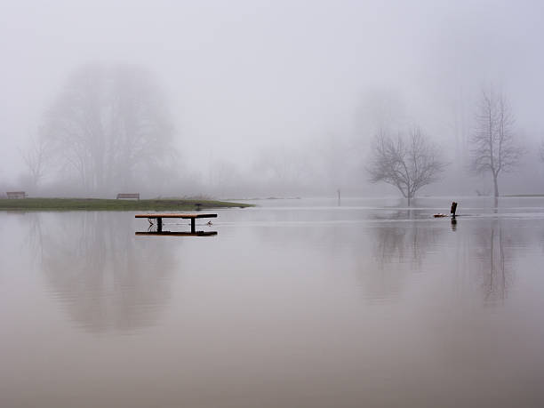 mgła nad zalana park - duvall zdjęcia i obrazy z banku zdjęć