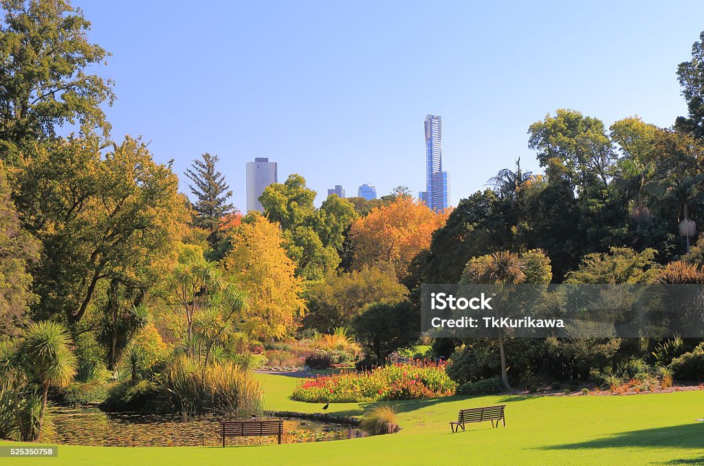 Jardines botánicos de Melbourne Australia - Foto de stock de Melbourne - Australia libre de derechos