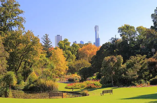 Beautiful Botanic Gardens cityscape in Melbourne Australia