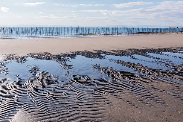 istock Sand surface on the beach with sea. 525350958