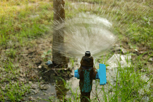istock Sprinkler irrigation in Thailand 525351517