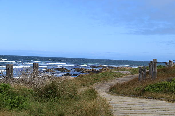 istock board walk along 17 Mile Drive 525352258
